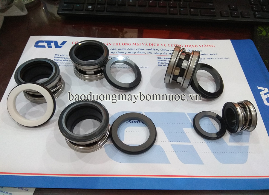Phớt bơm trục ngang, phớt bơm công nghiệp BW3 chính hãng