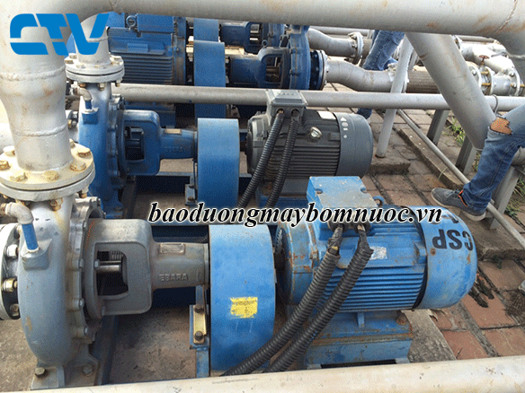 Dịch vụ bảo dưỡng hệ thống máy bơm Chiller chuyên nghiệp