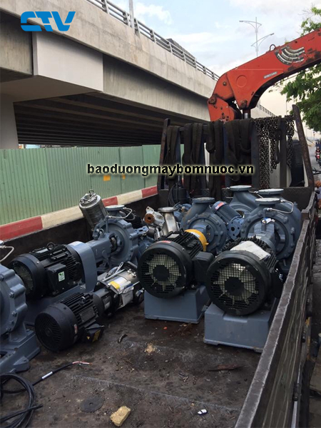 Cách bảo dưỡng máy bơm nước nhanh chóng và đạt hiệu quả tốt nhất