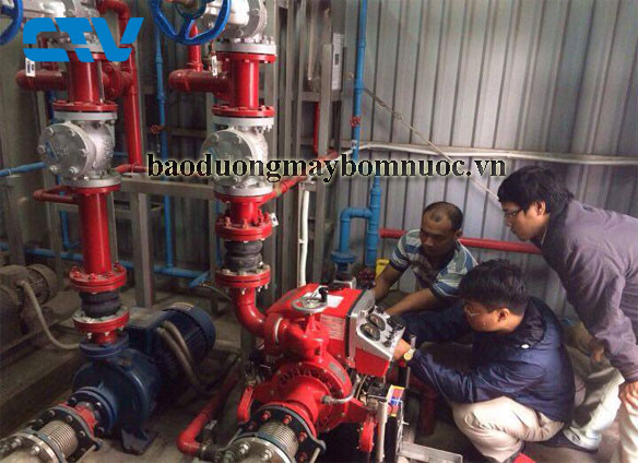 Dịch vụ bảo dưỡng máy bơm cứu hỏa uy tín, tin cậy tại Hà Nội