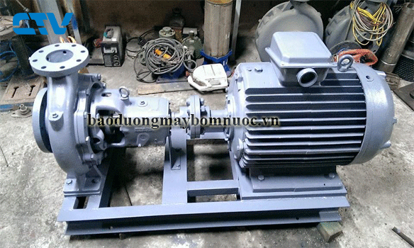 Hướng dẫn sử dụng máy bơm nước Ebara hiệu quả