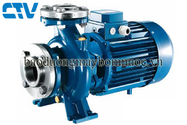 Tầm Quan Trọng Của Máy Bơm Pentax CM Và Lý Do Nên Lựa Chọn Cho Hệ Thống Công Nghiệp