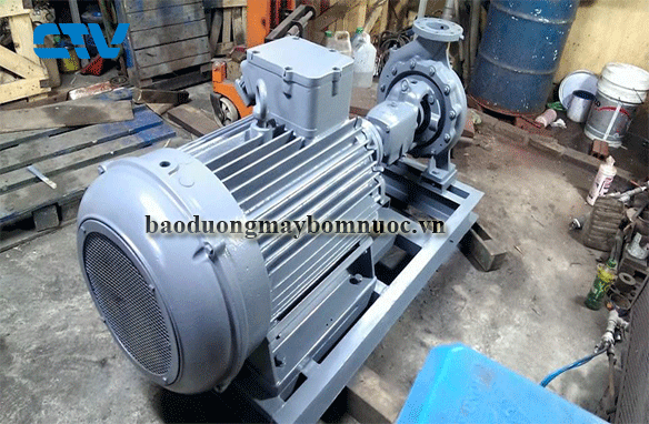 Quy trình bảo dưỡng máy bơm trục rời Ebara