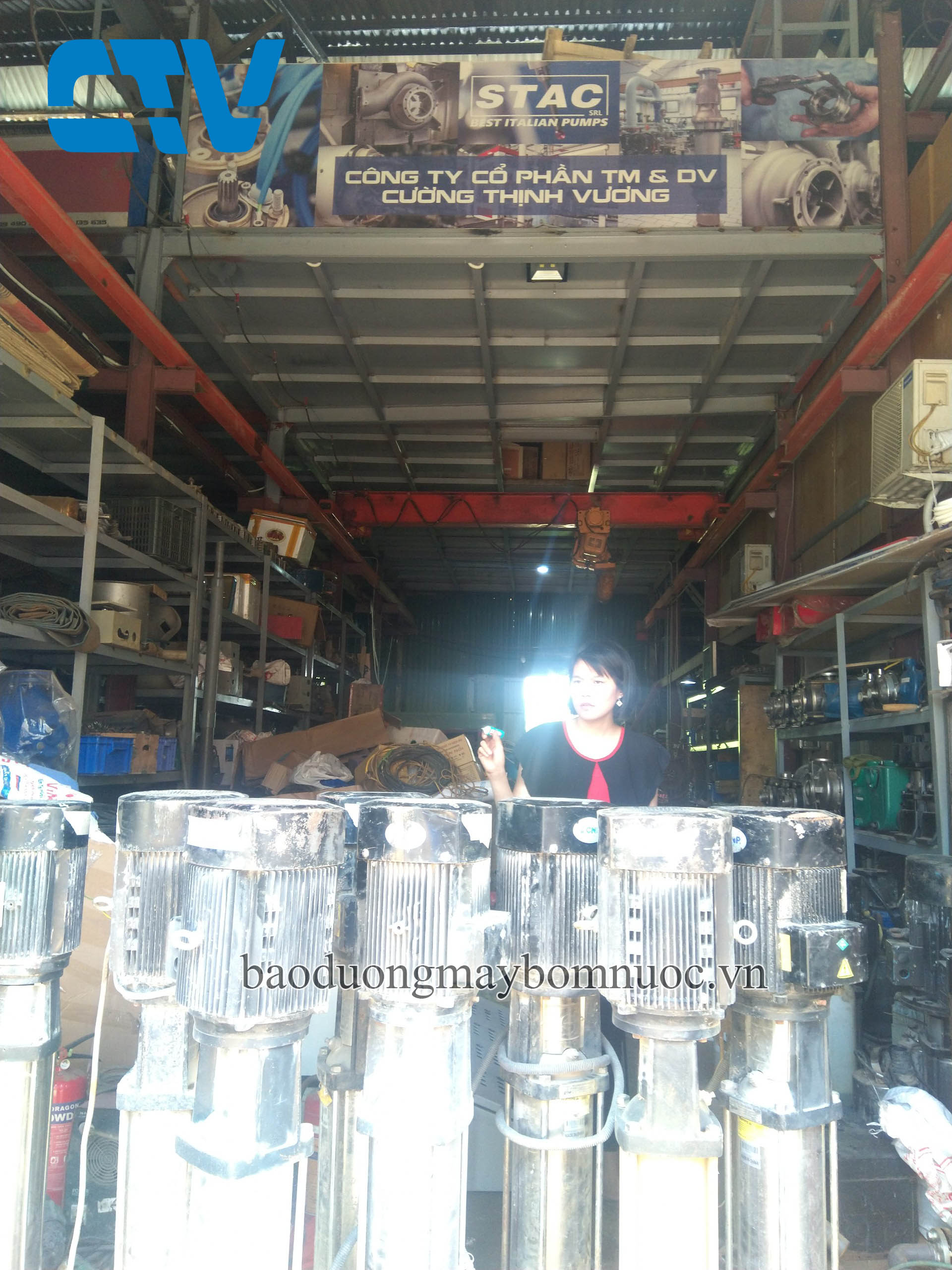 Sửa máy bơm nước trục đứng nhanh chóng, giá rẻ tại Cường Thịnh Vương