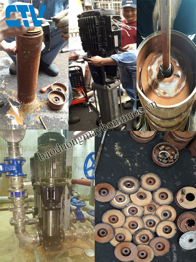 Sửa máy bơm trục đứng CNP khi bị hỏng buồng bơm nhanh chóng, uy tín