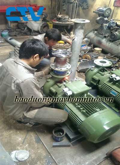 Địa chỉ bảo dưỡng máy bơm nước công nghiệp Sealand nhanh chóng, chuyên nghiệp tại Hà Nội