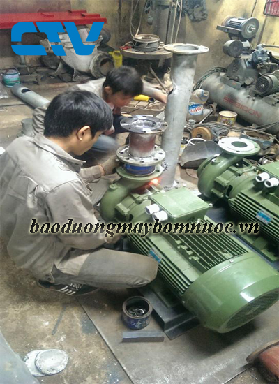 Bảo dưỡng máy bơm trục ngang Sealand cho các khách hàng trên toàn quốc
