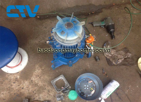 Dịch vụ bảo dưỡng máy bơm nước Leo cho các khách hàng tại Miền Bắc