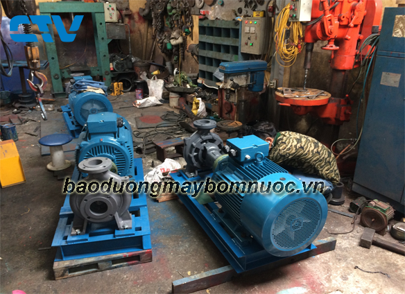 Bảo dưỡng máy bơm ly tâm Ebara nhanh chóng, giá rẻ cho mọi nhà