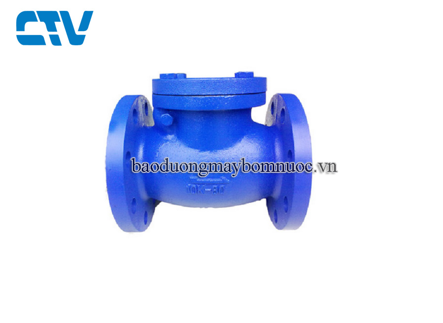 Van một chiều lá lật AUT BS5153