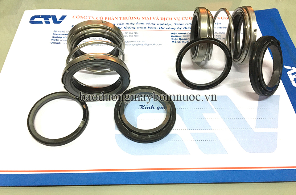 Phớt máy bơm công nghiệp bơm chìm Ebara DML100