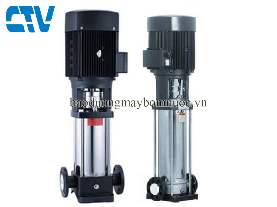 Máy bơm trục đứng Paragon PV 8 - 100