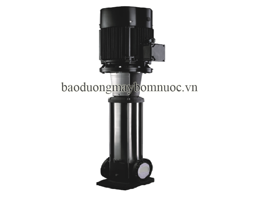 Máy bơm nước trục đứng Paragon PV 32