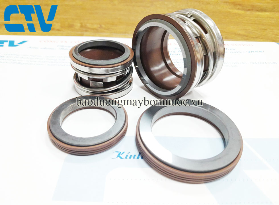 Phớt máy bơm trục ngang Teral 2100-24