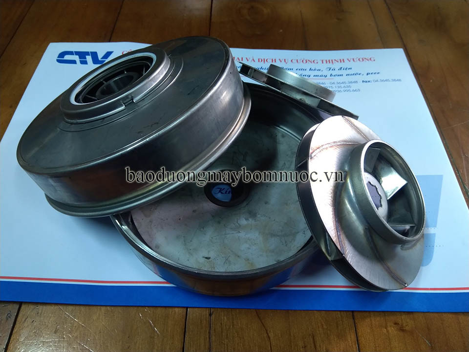 Buồng cánh (ruột buồng) bơm Paragon PV20-50 trục đứng
