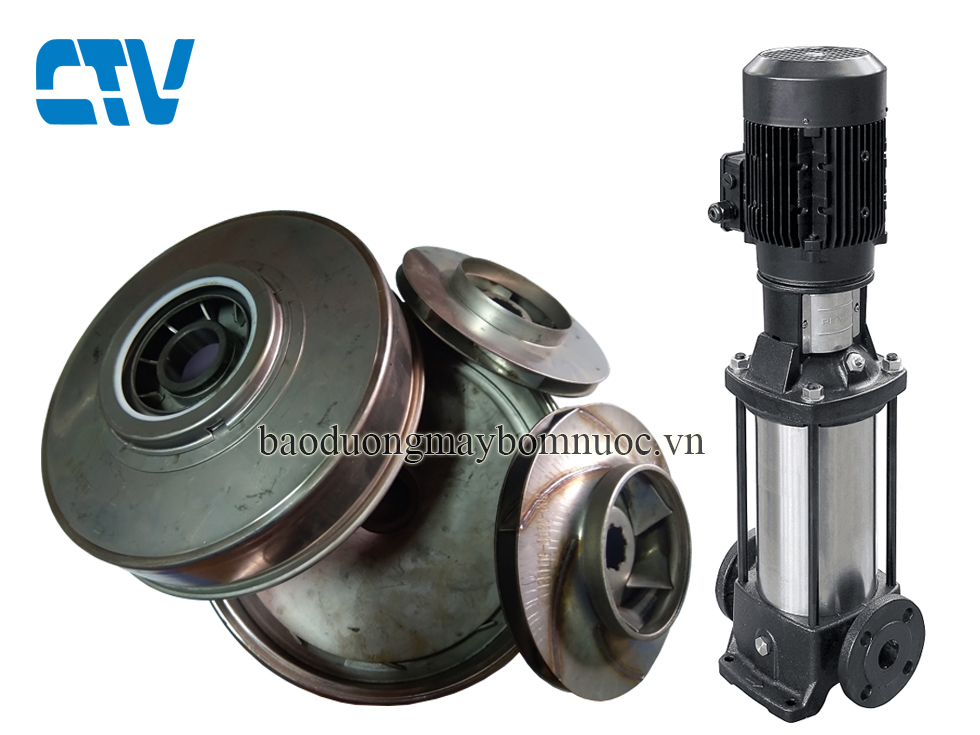 Bộ ruột buồng máy bơm trục đứng Ebara EVMSG15 1F5