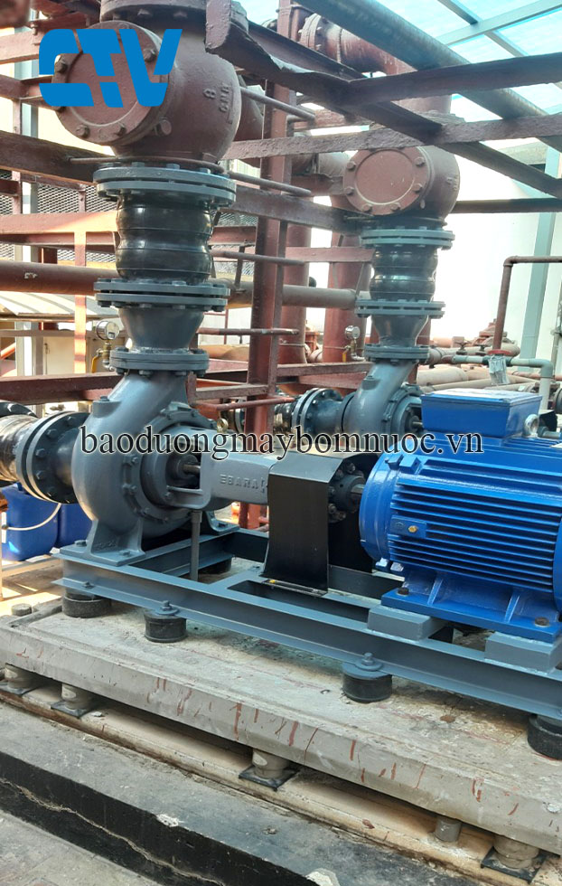 Bảo dưỡng máy bơm công nghiệp Ebara tại Miền Bắc uy tín