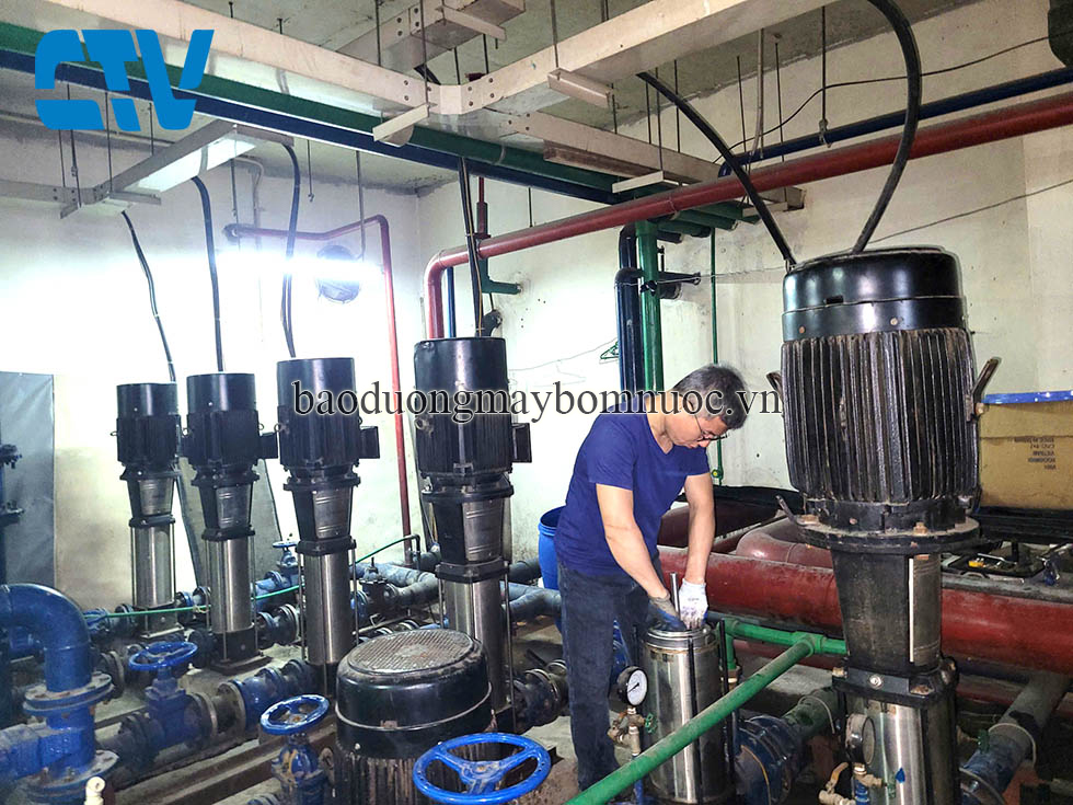 Bảo dưỡng máy bơm trục đứng Paragon uy tín