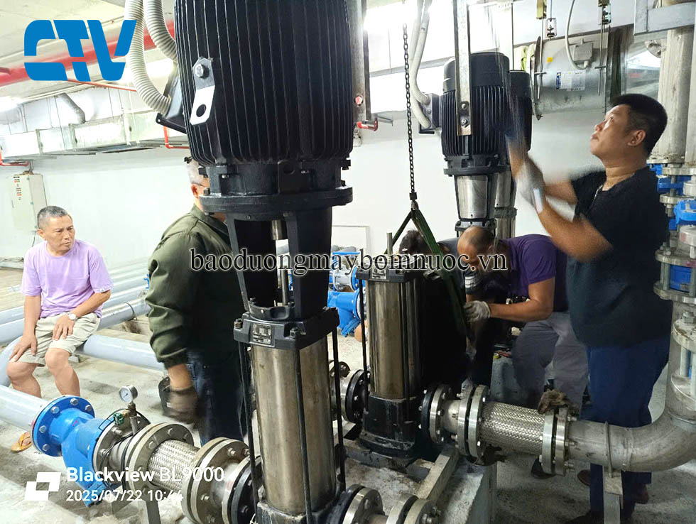 Bảo dưỡng, sửa máy bơm trục đứng Paragon uy tín, chuyên nghiệp