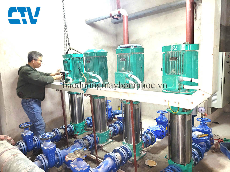 Dịch vụ bảo dưỡng máy bơm trục đứng Wilo uy tín, hiệu quả cao