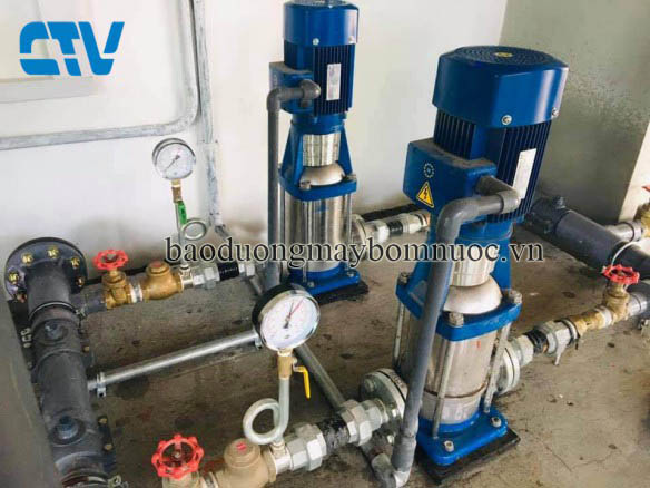 Cường Thịnh Vương – Địa chỉ sửa chữa máy bơm trục đứng Lowara uy tín hàng đầu miền Bắc