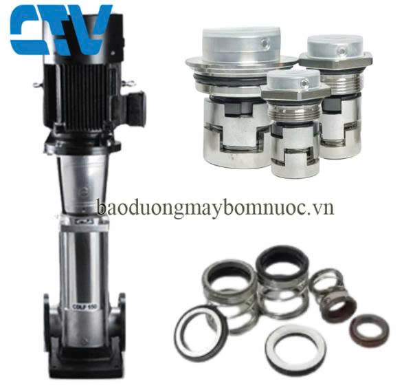 Phớt  Máy Bơm Trục Đứng CNP CDLF 42 - 8